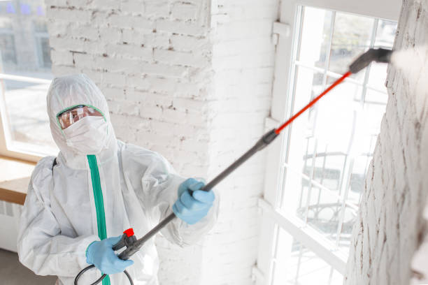 Best Forensic Mold Investigation  in Dundee, FL