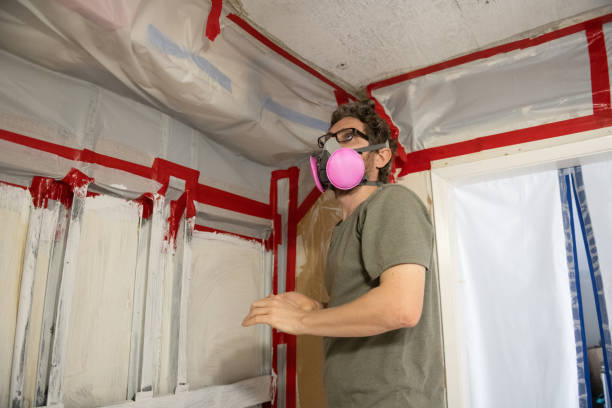 Best Industrial Mold Remediation  in Dundee, FL